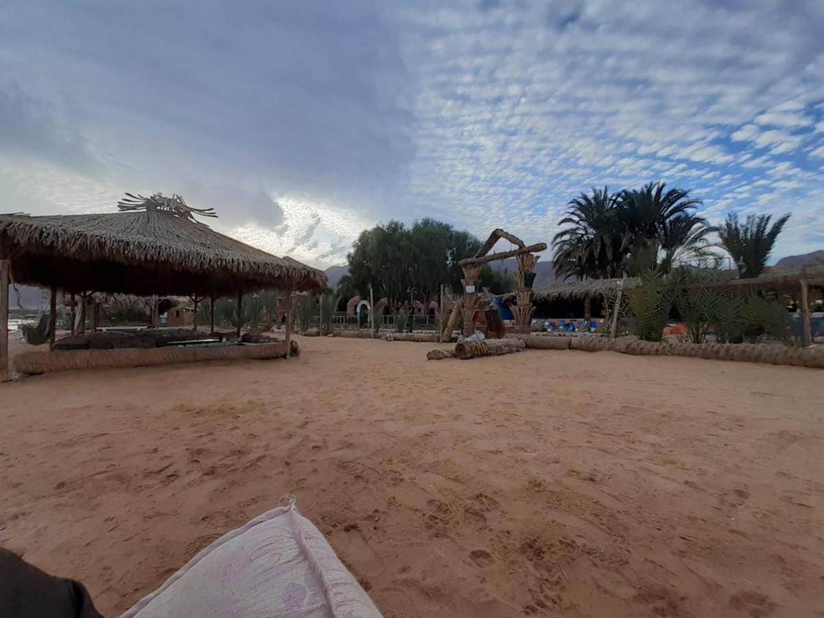 לינה וארוחת בוקר נואייבה Sababa Beach Camp מראה חיצוני תמונה