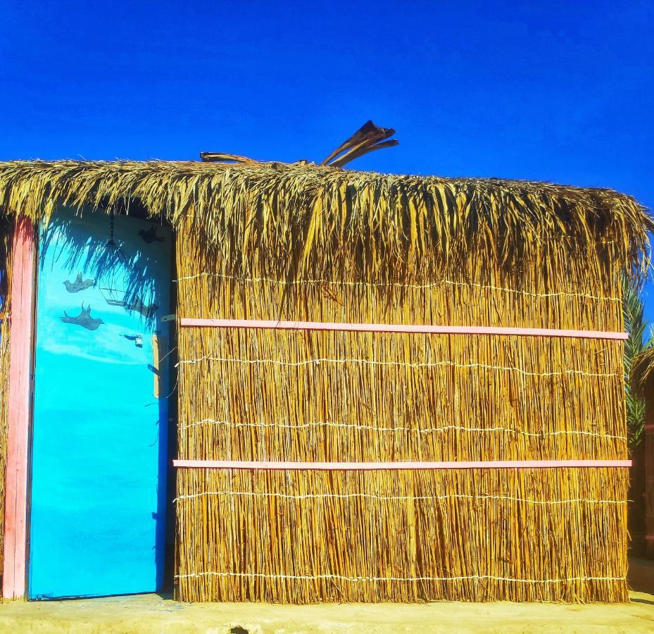 לינה וארוחת בוקר נואייבה Sababa Beach Camp חדר תמונה